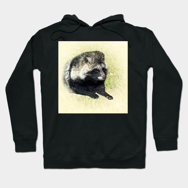 Raccoon dog Hoodie by Guardi